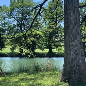 Meet your Posher, Joanna